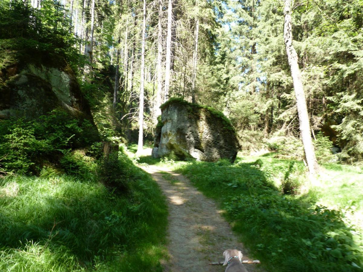 Ein Platz Fuer Ruhe Und Naturgenuss Sebnitz Eksteriør bilde