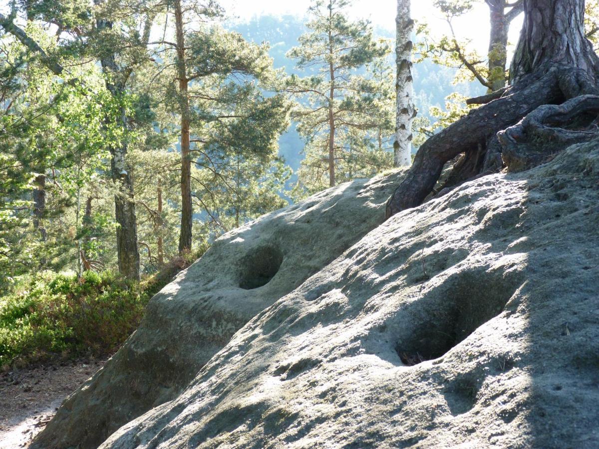 Ein Platz Fuer Ruhe Und Naturgenuss Sebnitz Eksteriør bilde