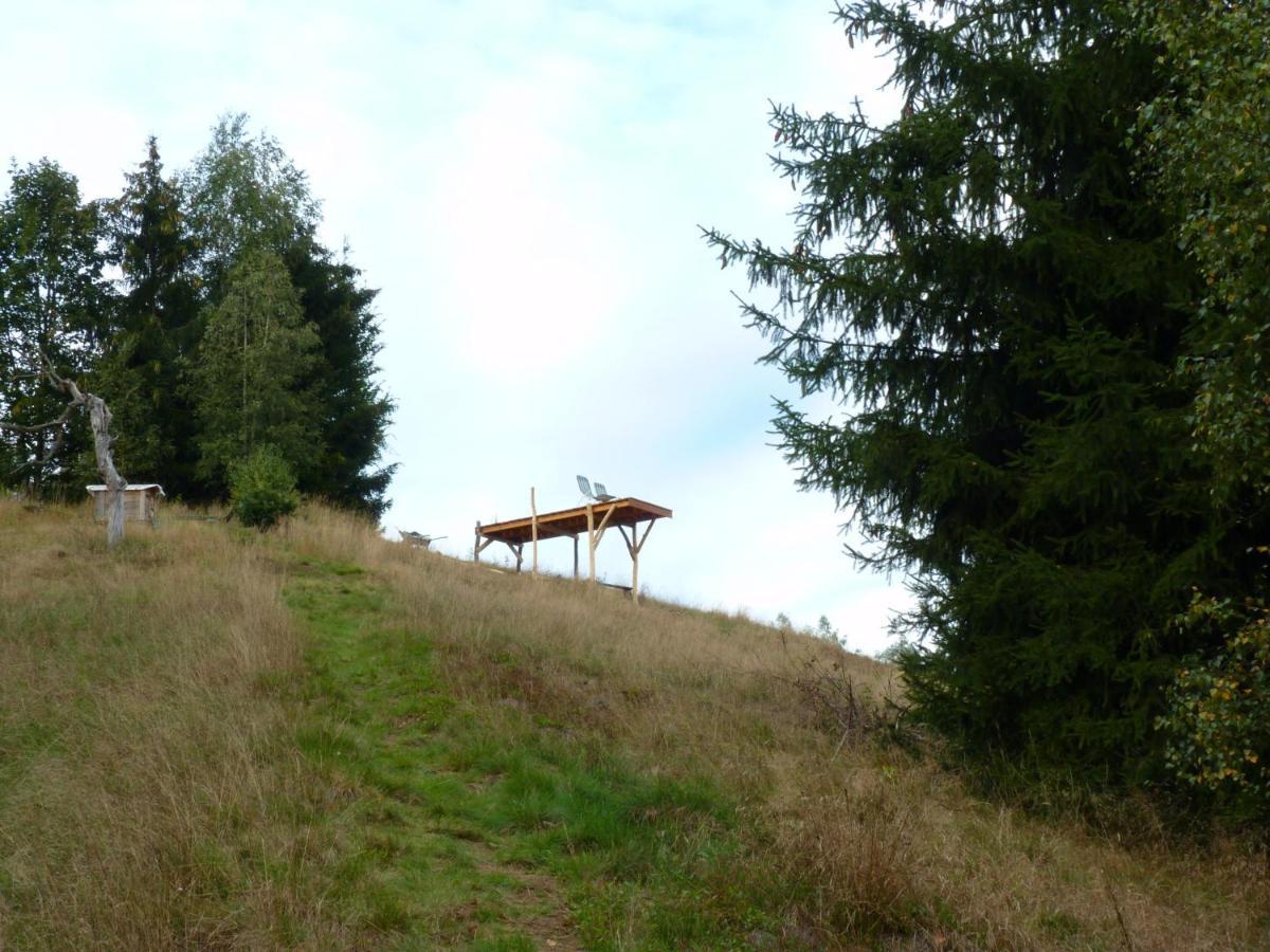 Ein Platz Fuer Ruhe Und Naturgenuss Sebnitz Eksteriør bilde