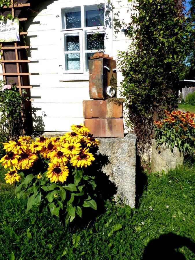 Ein Platz Fuer Ruhe Und Naturgenuss Sebnitz Eksteriør bilde