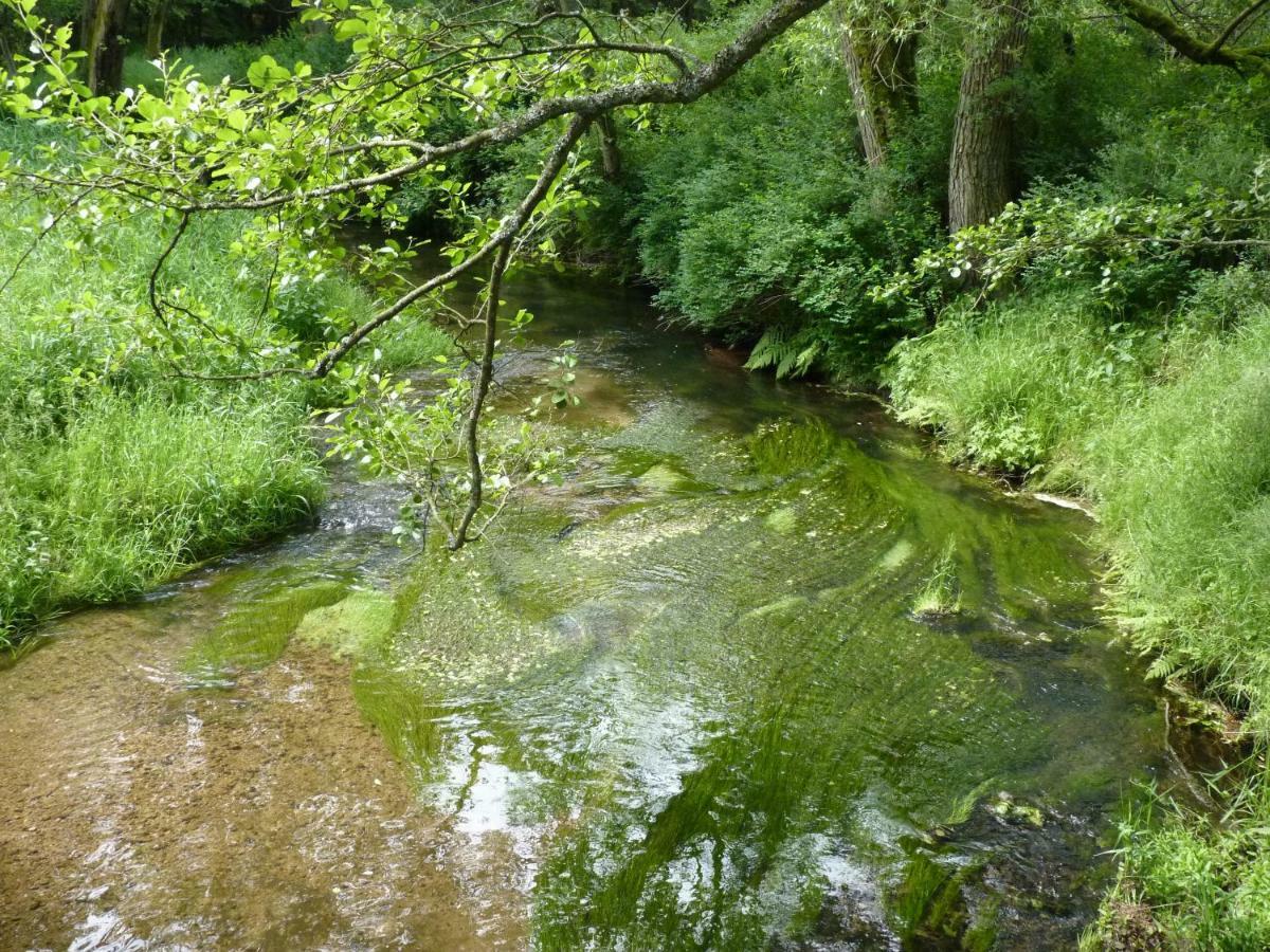 Ein Platz Fuer Ruhe Und Naturgenuss Sebnitz Eksteriør bilde